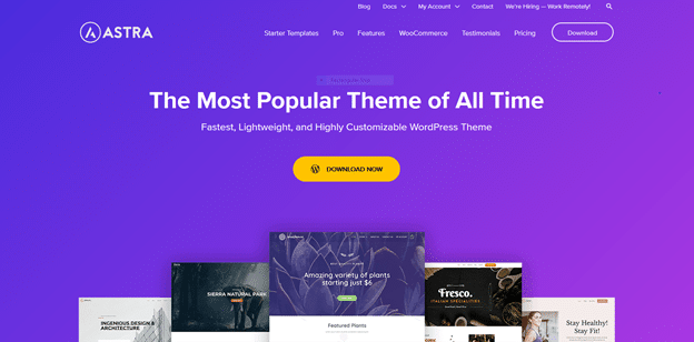 Astra landing page of the most popular theme of all time for wordpress